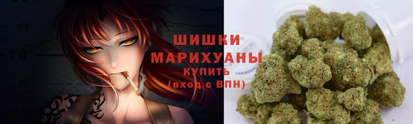 СК Нефтегорск
