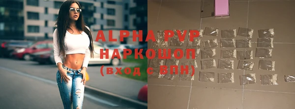 СК Нефтегорск