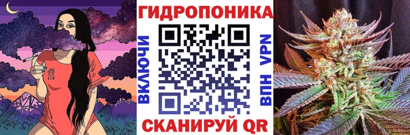 Бошки Шишки план  Купить где  Кинешма 